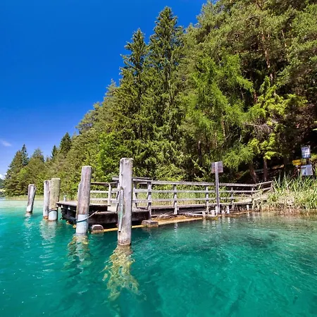 Herwig Schwarzenbacher * וויסנסי