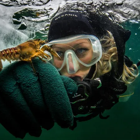 Herwig Schwarzenbacher Apartamento Weissensee