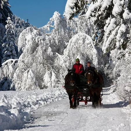 Herwig Schwarzenbacher *