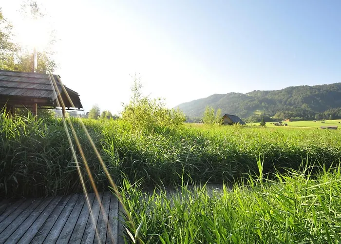 Herwig Schwarzenbacher דירה וויסנסי