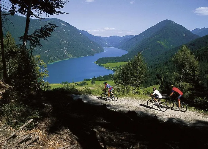 Herwig Schwarzenbacher Apartman *