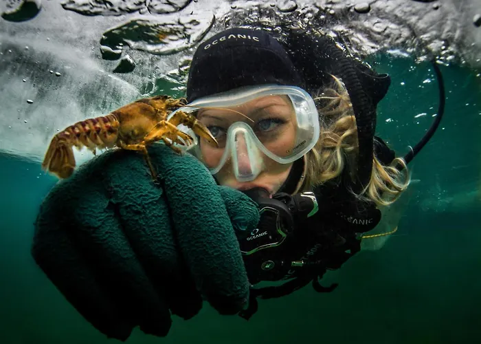 Herwig Schwarzenbacher Apartamento Weissensee